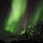 Lofoten - Live Like The Locals * Barstrand