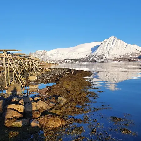Lägenhet Lofoten - Live Like The Locals *