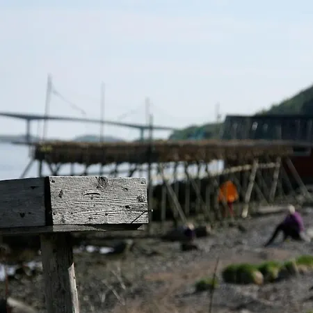 Apartman Lofoten - Live Like The Locals Barstrand