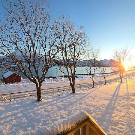 Lofoten - Live Like The Locals 아파트 Barstrand