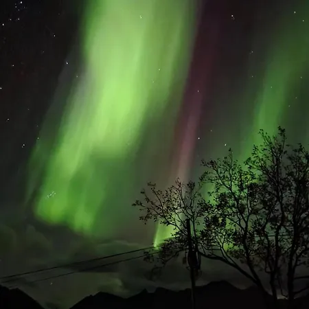 Lofoten - Live Like The Locals * Barstrand