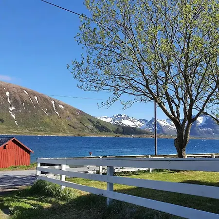 Lofoten - Live Like The Locals Lägenhet Barstrand