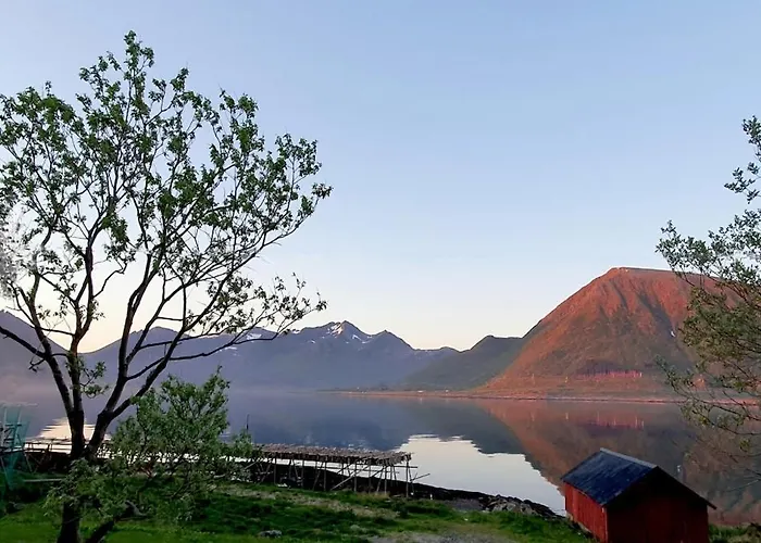 Lofoten - Live Like The Locals