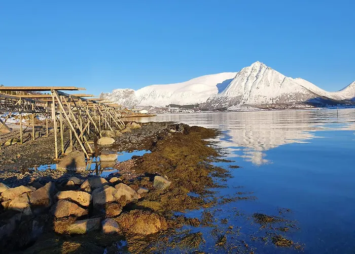 Διαμέρισμα Lofoten - Live Like The Locals *