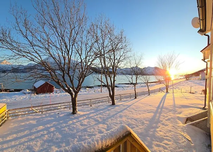 Lofoten - Live Like The Locals Lägenhet Barstrand