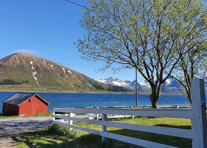 Lofoten - Live Like The Locals Lägenhet