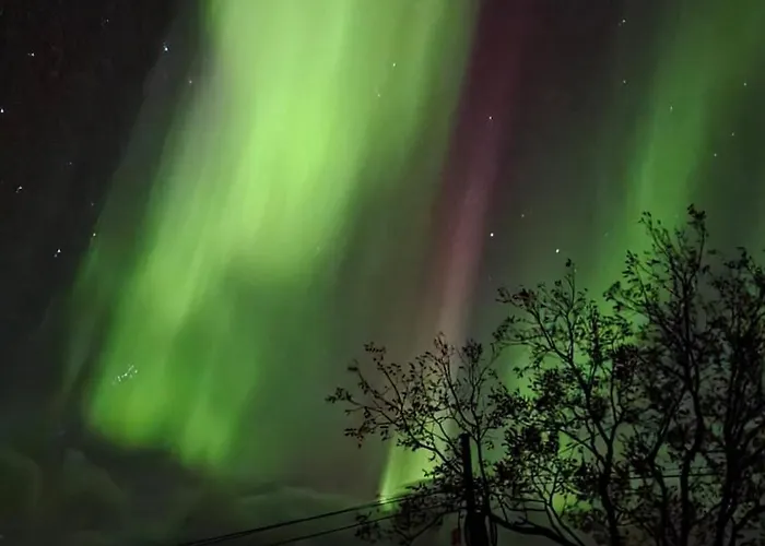 Lofoten - Live Like The Locals * Barstrand